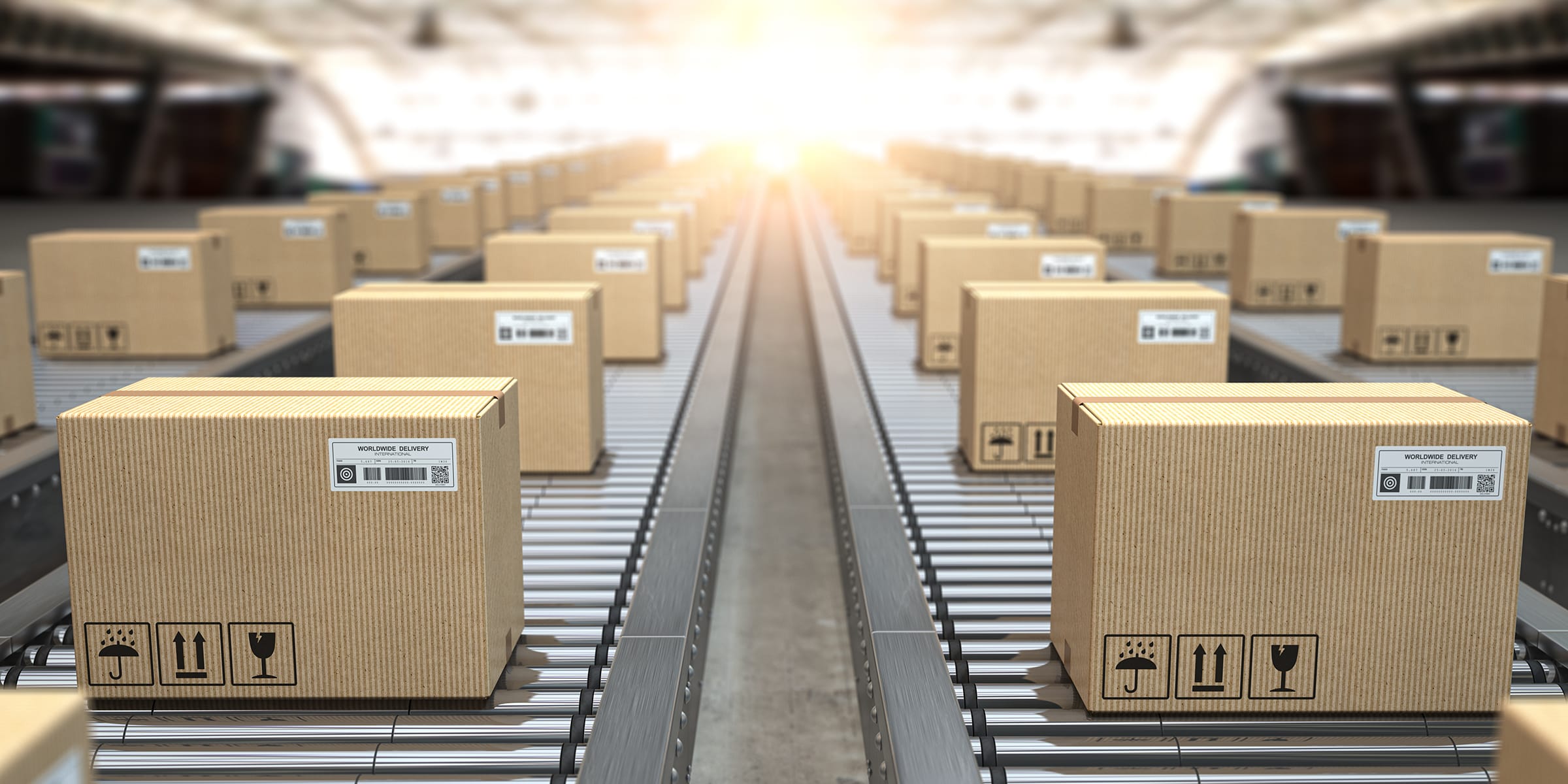 boxes moving through warehouse to support growing wholesale B2B sales